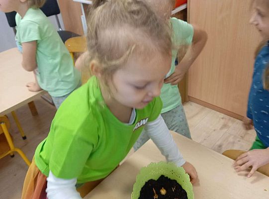 Dzieci sadzą roślinki