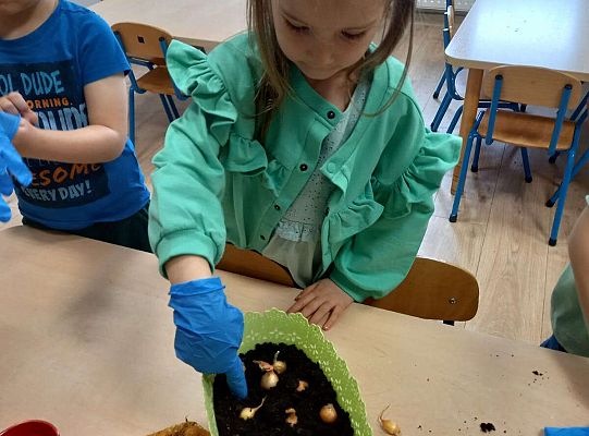 Dzieci sadzą roślinki