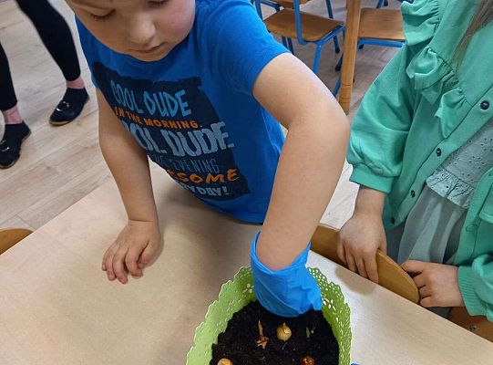 Dzieci sadzą roślinki