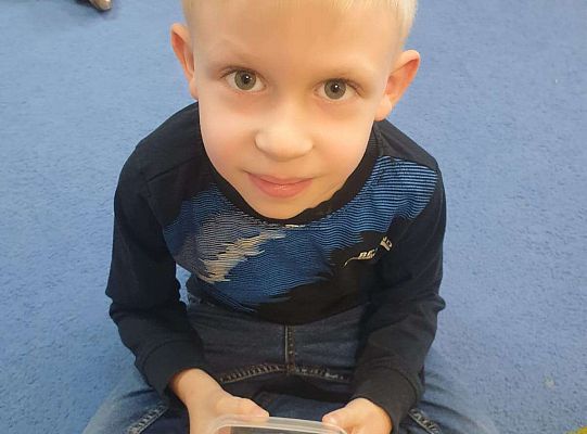 Gr. IV Tymek opowiada  szerszeniu