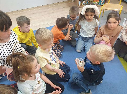 Gr. IV Tymek opowiada  szerszeniu