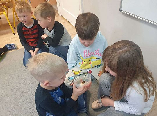 Gr. IV Tymek opowiada  szerszeniu