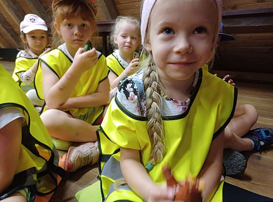 Gr. III Wycieczka do muzeum w Swołowie oraz warsztaty muzyczne