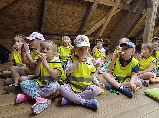 Gr. III Wycieczka do muzeum w Swołowie oraz warsztaty muzyczne