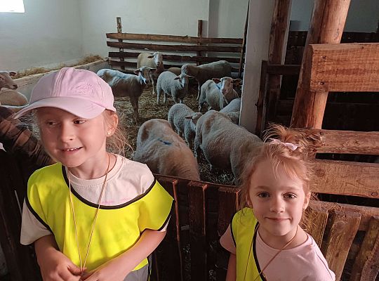 Gr. III Wycieczka do muzeum w Swołowie oraz warsztaty muzyczne