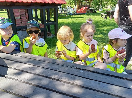 Gr. III Wycieczka do muzeum w Swołowie oraz warsztaty muzyczne