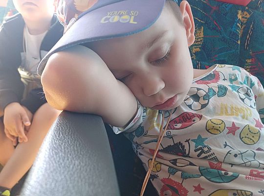 Gr. III Wycieczka do muzeum w Swołowie oraz warsztaty muzyczne