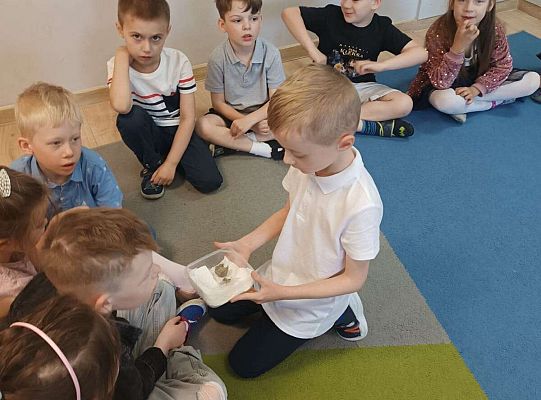 Gr. IV Kostek demonstuje ciekawostki przyrodnicze