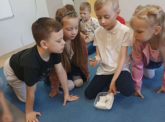 Gr. IV Kostek demonstuje ciekawostki przyrodnicze