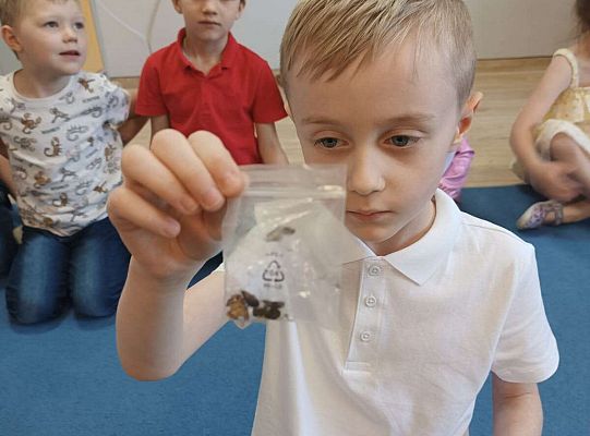 Gr. IV Kostek demonstuje ciekawostki przyrodnicze