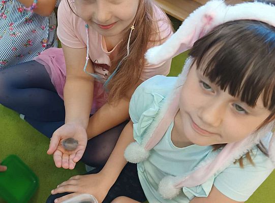 Gr. IV Kostek demonstuje ciekawostki przyrodnicze