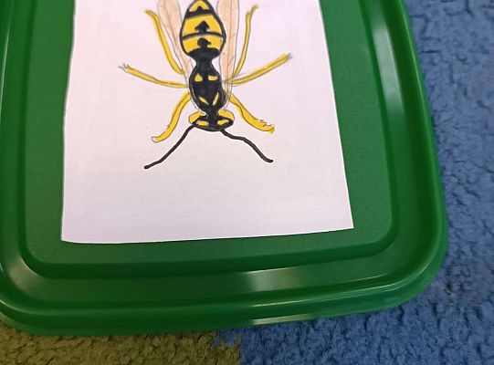 Gr. IV Kostek demonstuje ciekawostki przyrodnicze