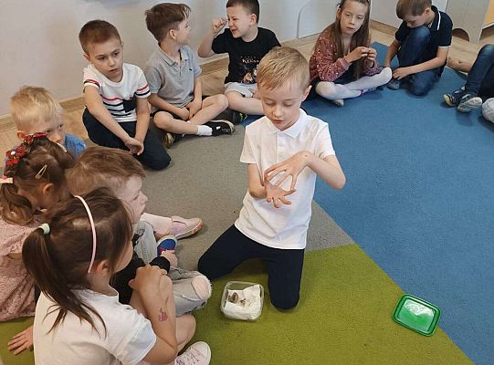 Gr. IV Kostek demonstuje ciekawostki przyrodnicze