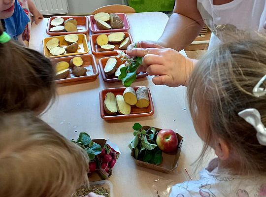 Dzieci poznają rośliny