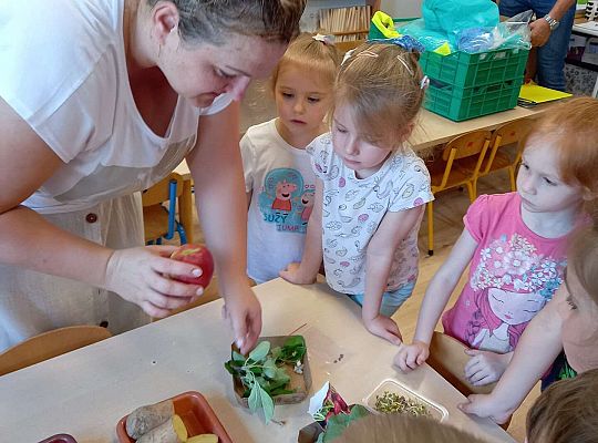 Dzieci poznają rośliny