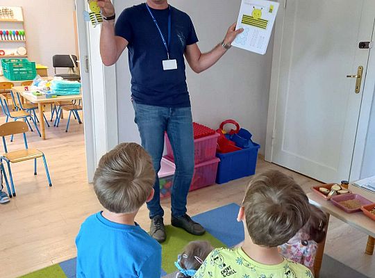 Pszczółki dla dzieci