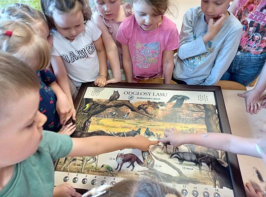 Gr. I i II Zajęcia przyrodnicze -wilk