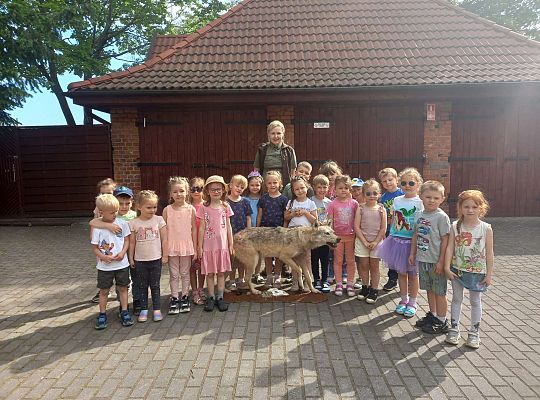 Gr. I i II Zajęcia przyrodnicze -wilk