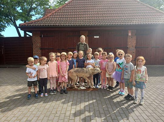 Gr. I i II Zajęcia przyrodnicze -wilk