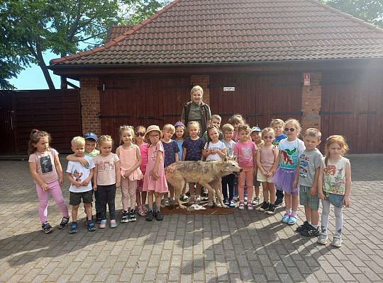 Gr. I i II Zajęcia przyrodnicze -wilk