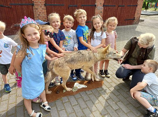 Gr. I i II Zajęcia przyrodnicze -wilk