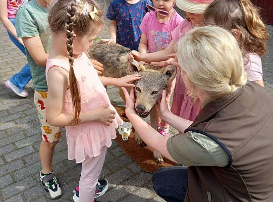 Gr. I i II Zajęcia przyrodnicze -wilk