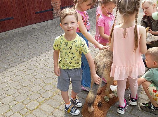 Gr. I i II Zajęcia przyrodnicze -wilk