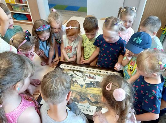 Gr. I i II Zajęcia przyrodnicze -wilk