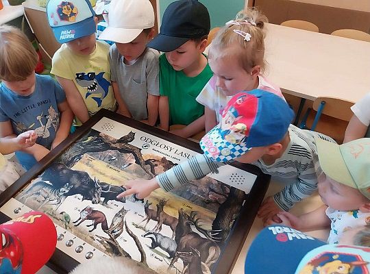 Gr. I i II Zajęcia przyrodnicze -wilk