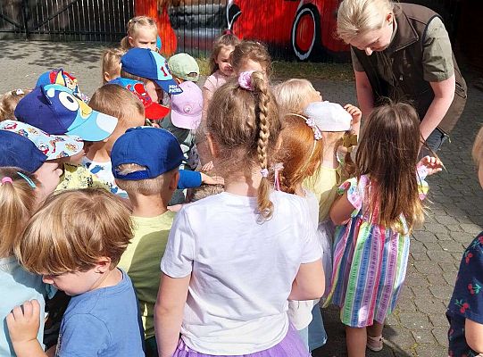 Gr. I i II Zajęcia przyrodnicze -wilk