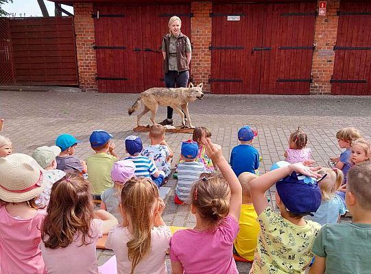 Gr. I i II Zajęcia przyrodnicze -wilk