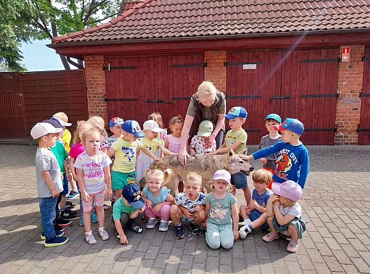 Gr. I i II Zajęcia przyrodnicze -wilk