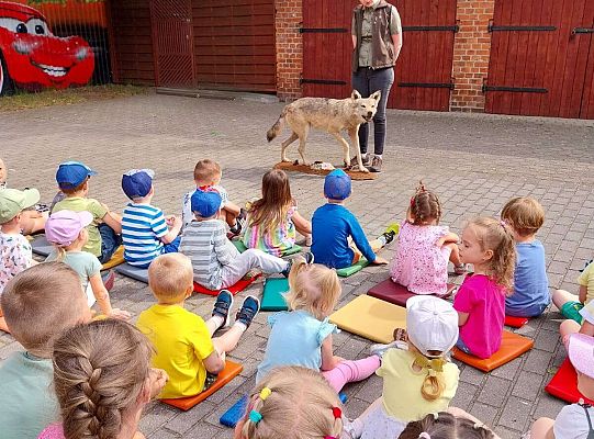 Gr. I i II Zajęcia przyrodnicze -wilk
