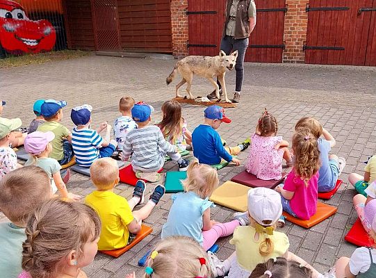 Gr. I i II Zajęcia przyrodnicze -wilk