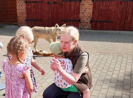 Gr. I i II Zajęcia przyrodnicze -wilk