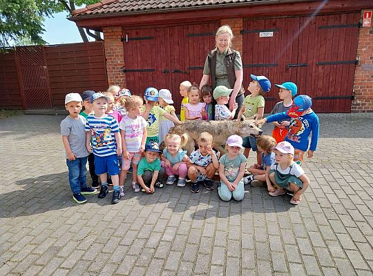 Gr. I i II Zajęcia przyrodnicze -wilk