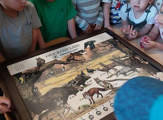 Gr. I i II Zajęcia przyrodnicze -wilk