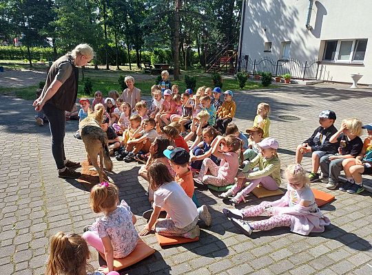 Gr. III i IV Zajęcia przyrodnicze - wilk