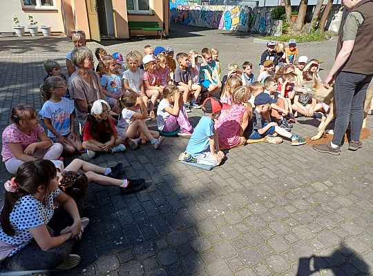 Gr. III i IV Zajęcia przyrodnicze - wilk