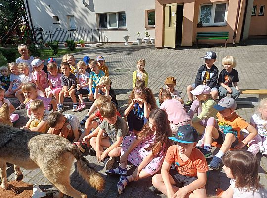 Gr. III i IV Zajęcia przyrodnicze - wilk