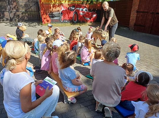 Gr. III i IV Zajęcia przyrodnicze - wilk