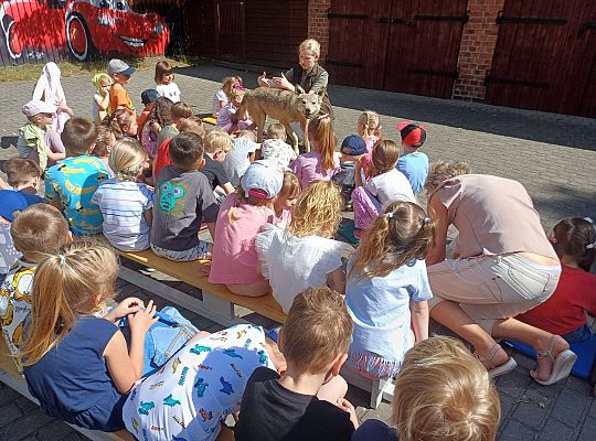 Gr. III i IV Zajęcia przyrodnicze - wilk