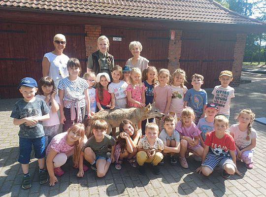 Gr. III i IV Zajęcia przyrodnicze - wilk