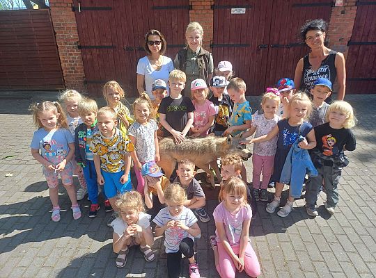 Gr. III i IV Zajęcia przyrodnicze - wilk