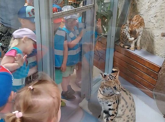 Gr. I   Wycieczka- Zoo Egzotyczne - Tuchlino