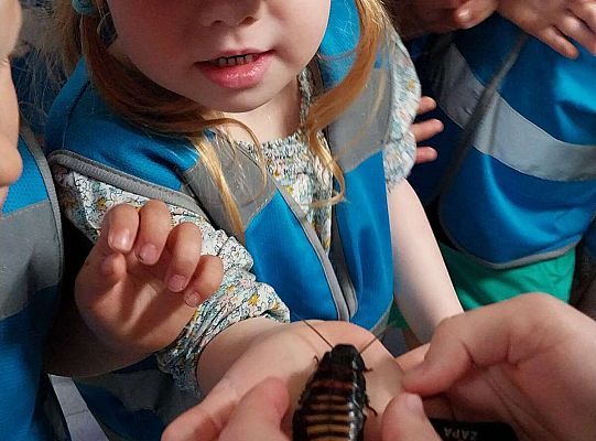 Gr. I   Wycieczka- Zoo Egzotyczne - Tuchlino