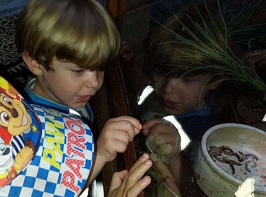 Gr. I   Wycieczka- Zoo Egzotyczne - Tuchlino