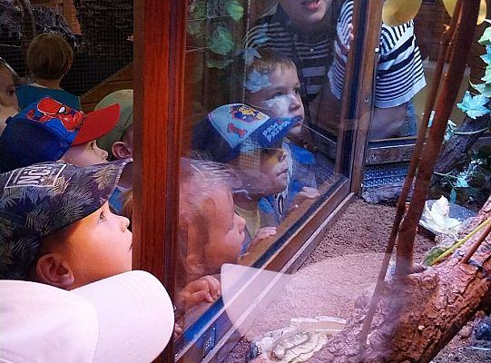 Gr. I   Wycieczka- Zoo Egzotyczne - Tuchlino