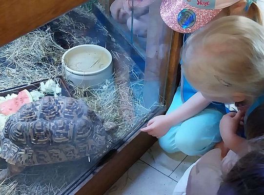 Gr. I   Wycieczka- Zoo Egzotyczne - Tuchlino