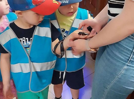 Gr. I   Wycieczka- Zoo Egzotyczne - Tuchlino